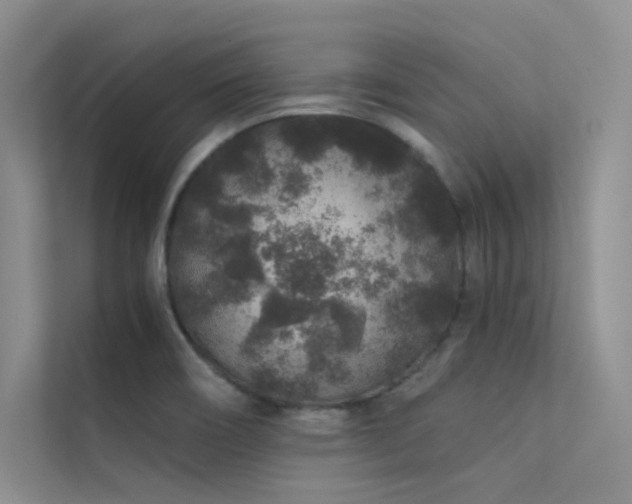 X0000112421466200908141401