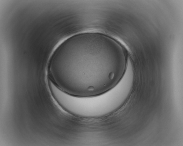 X0000112421468200908141401