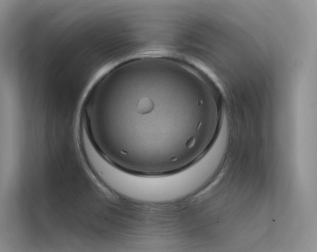 X0000112421469200908141401