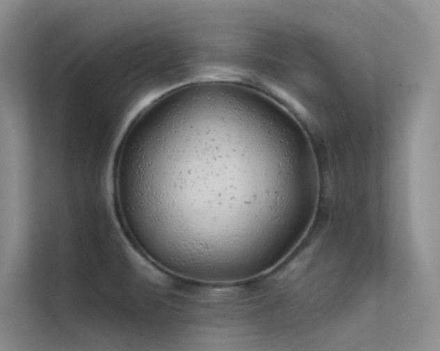 X0000112421471200908141401