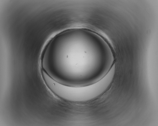 X0000112421472200908141401