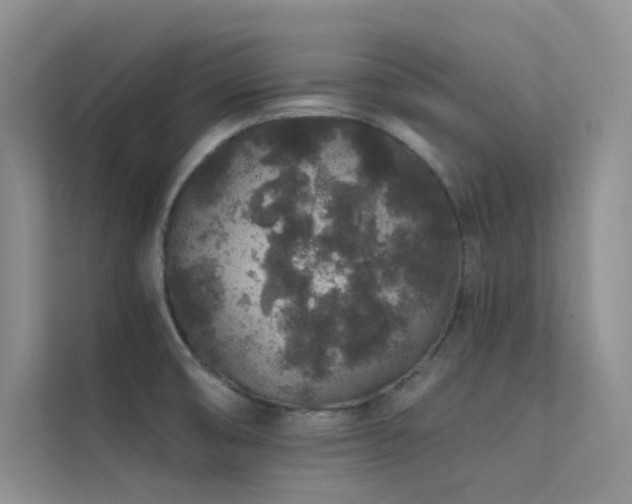 X0000112421474200908141400