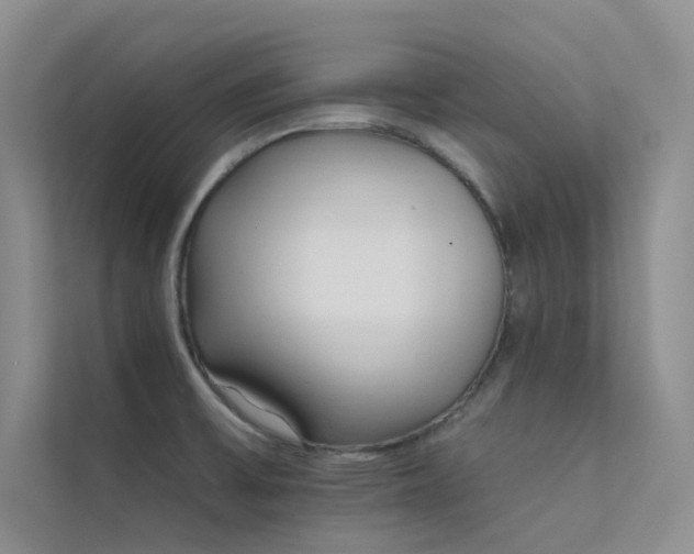 X0000112421475200908141400