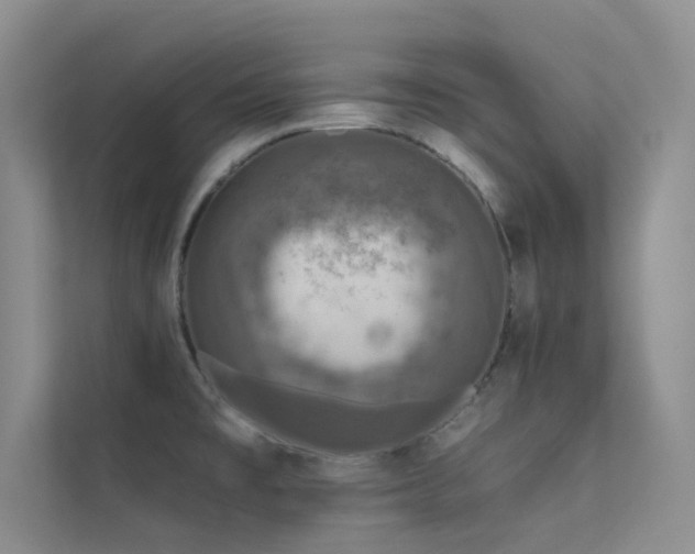 X0000112421477200908141400