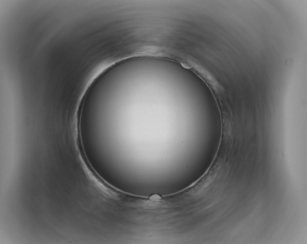 X0000112421479200908141400
