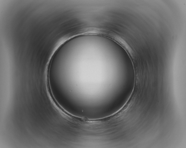X0000112421483200908141400
