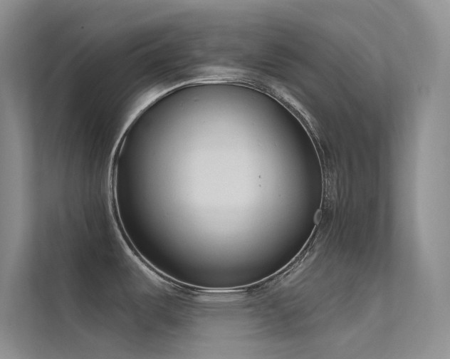X0000112421487200908141400