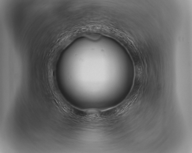 X0000112421489200908141400