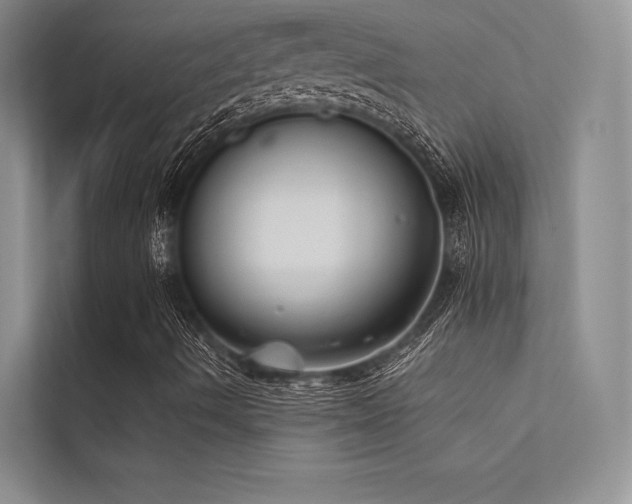 X0000112421490200908141400