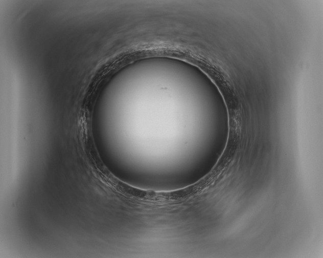 X0000112421493200908141400