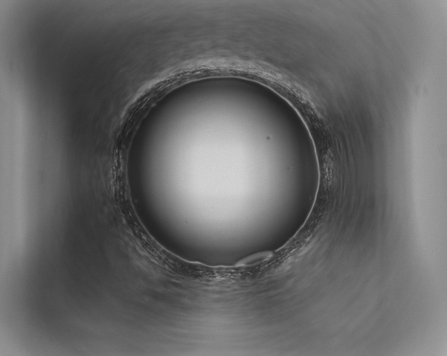 X0000112421494200908141400