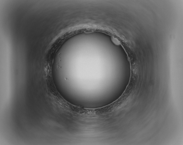X0000112421495200908141400