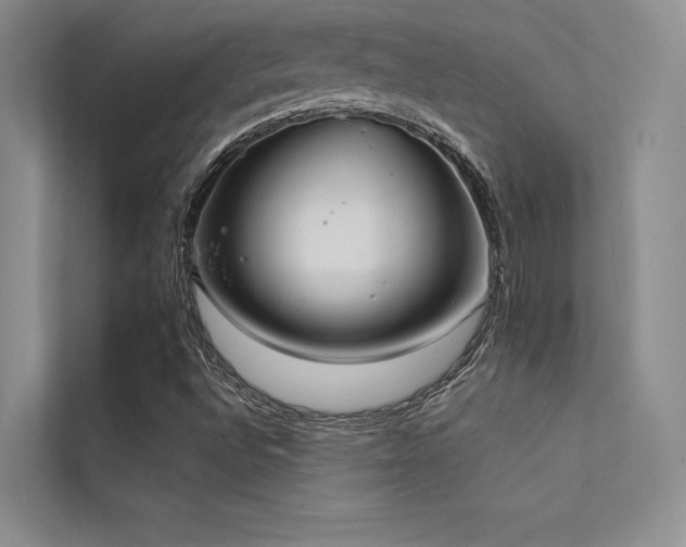 X0000112421496200908141400