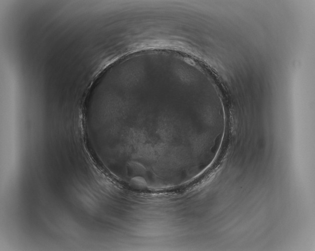 X0000112421497200908141400