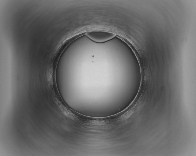 X0000112421499200908141400
