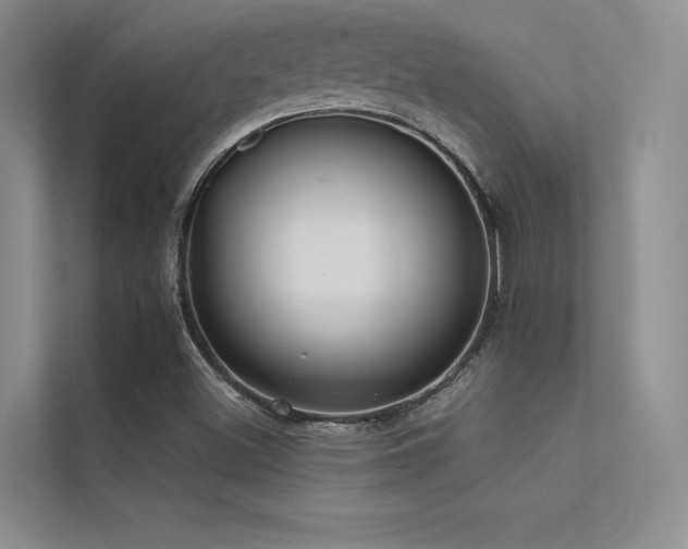 X0000112421500200908141400