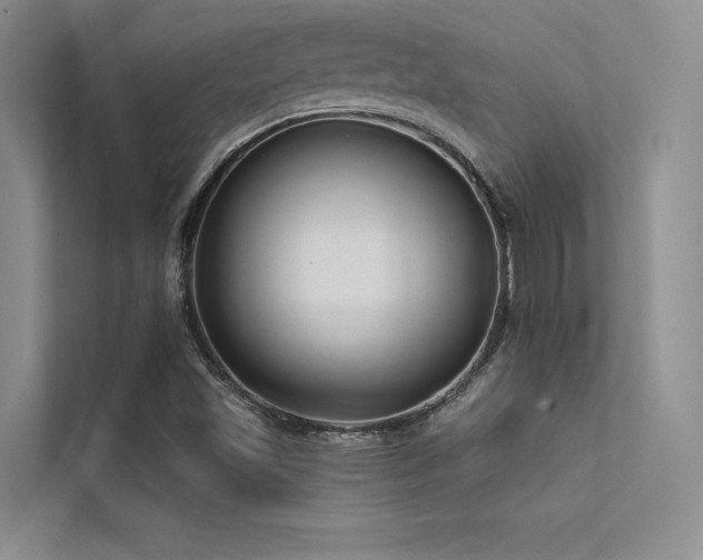 X0000112421501200908141400