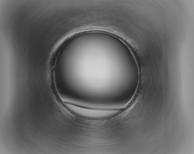 X0000112421502200908141400