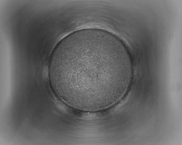 X0000112421505200908141400