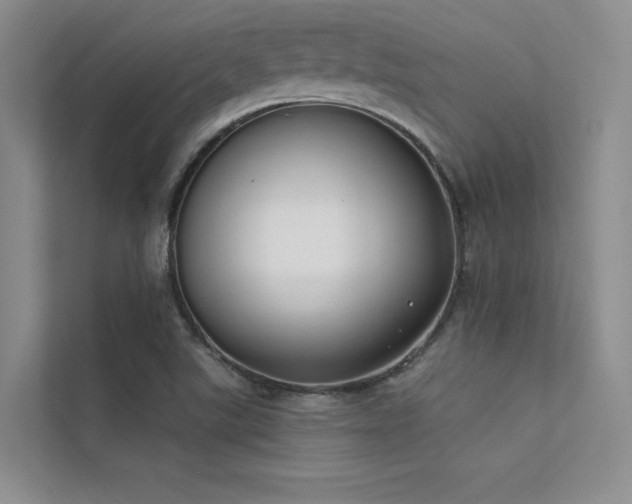 X0000112421507200908141400