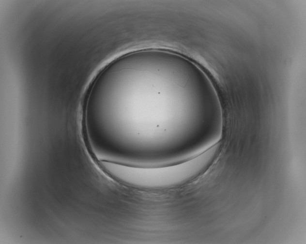 X0000112421508200908141400