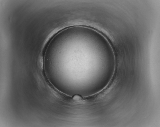 X0000112421509200908141400