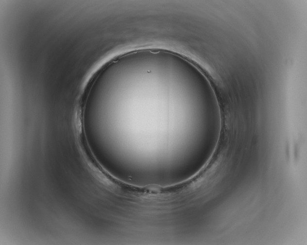 X0000112421510200908141400