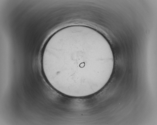 X0000112421514200908141400