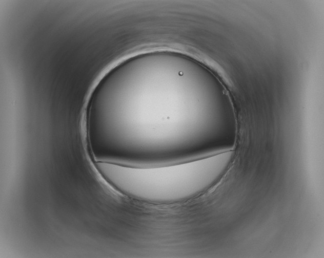X0000112421516200908141400