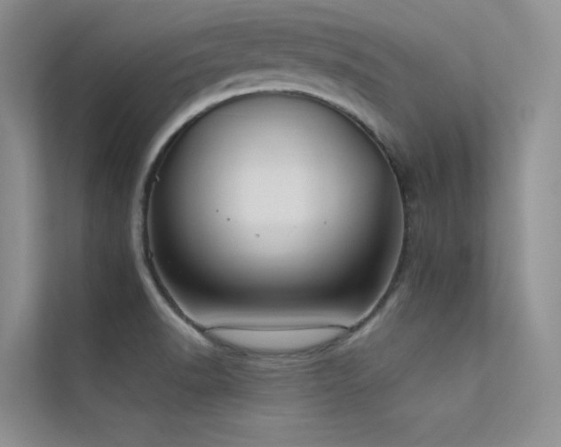 X0000112421518200908141400