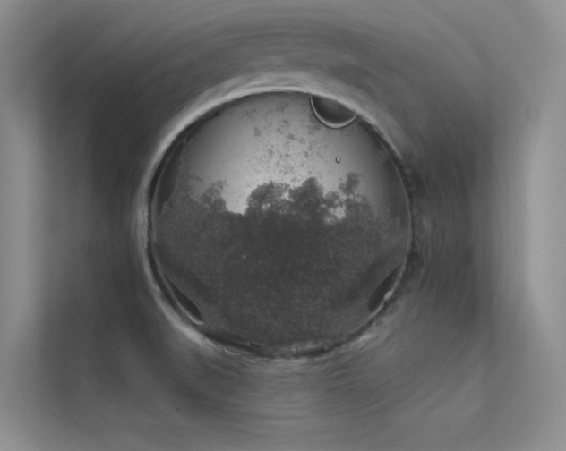 X0000112421519200908141400