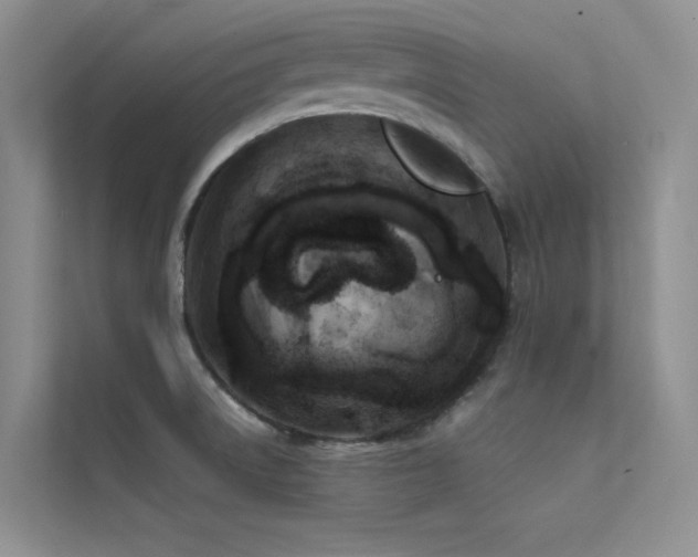X0000112421522200908141400
