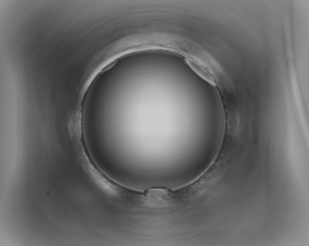 X0000112421524200908141400