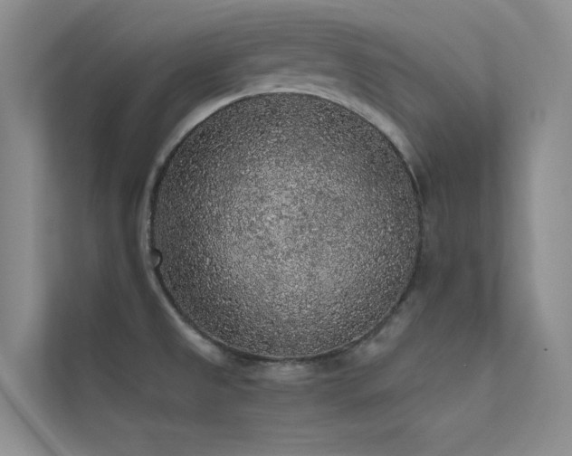 X0000112421525200908141400