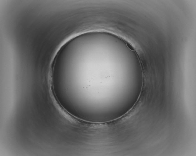 X0000112421526200908141400