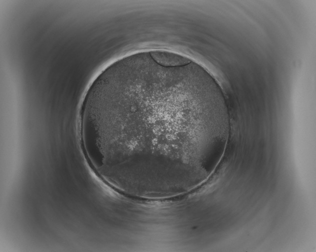 X0000112421527200908141400