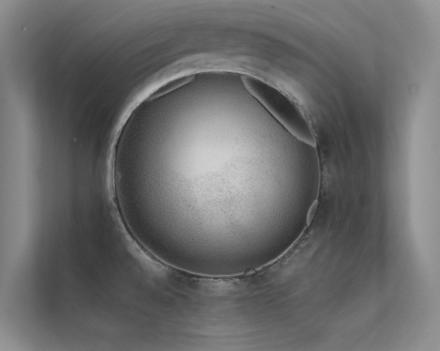 X0000112421528200908141400