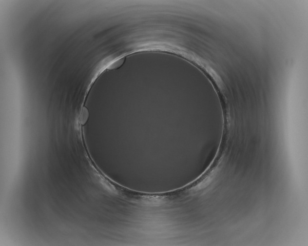 X0000112421529200908141400