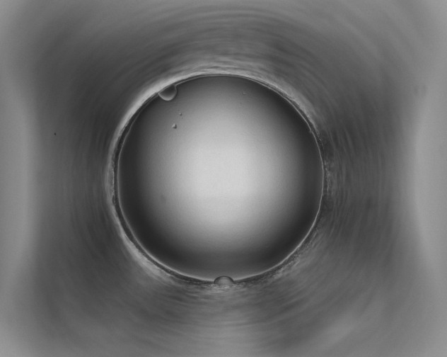 X0000112421531200908141400