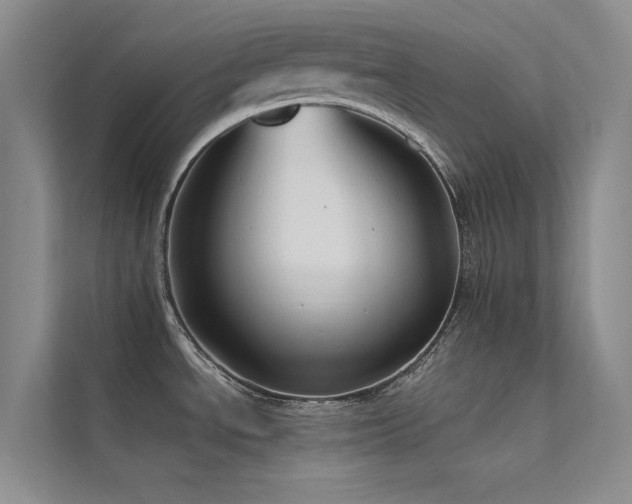 X0000112421534200908141400
