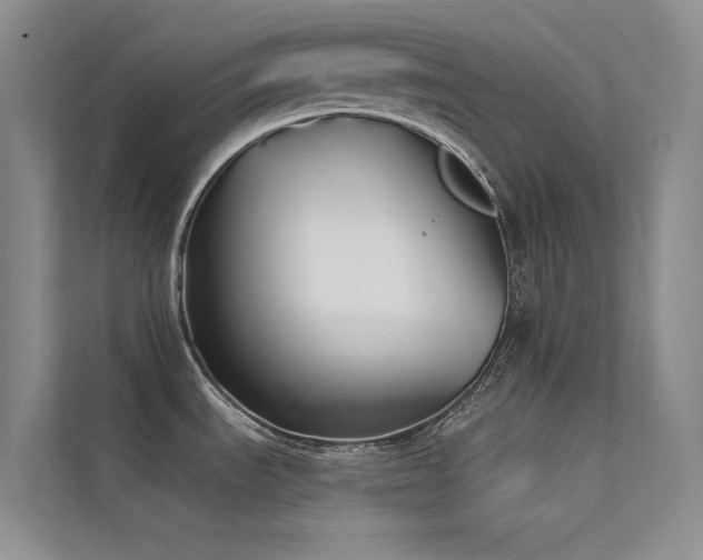 X0000112421535200908141400