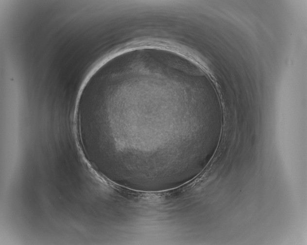 X0000112421536200908141400