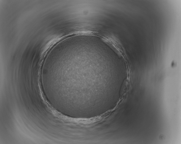 X0000112420001200908211157