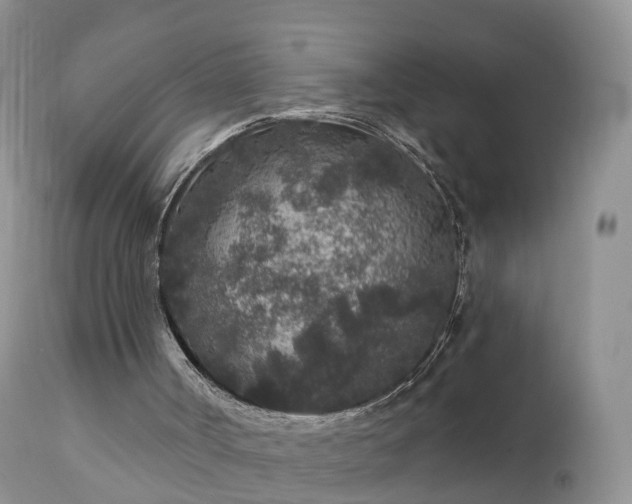 X0000112420002200908211157