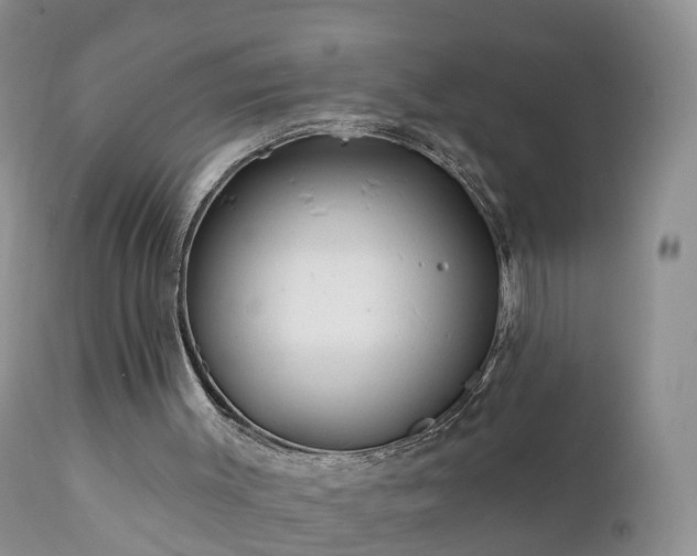 X0000112420003200908211157