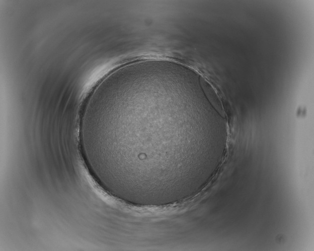 X0000112420005200908211156