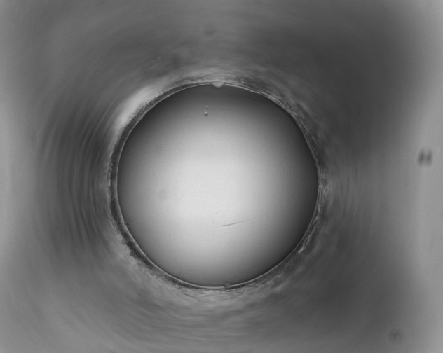 X0000112420006200908211156