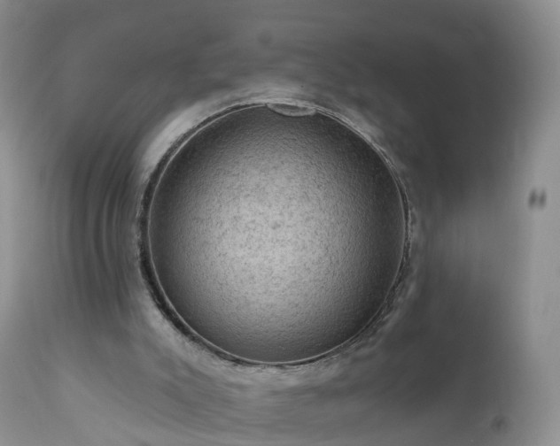 X0000112420007200908211156