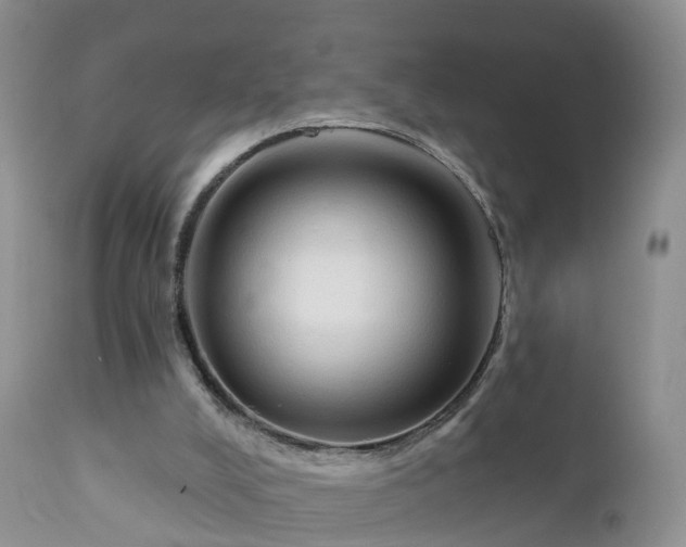 X0000112420008200908211156