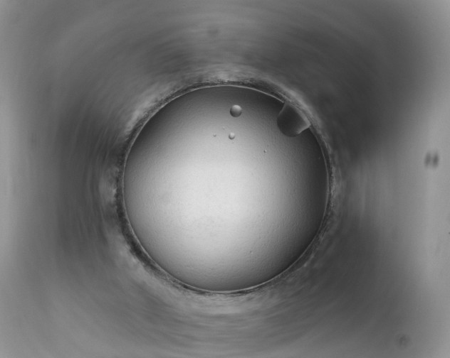 X0000112420010200908211156